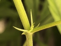 DF4E8173-2B92-4E70-BB05-4DED6DC3EDFC