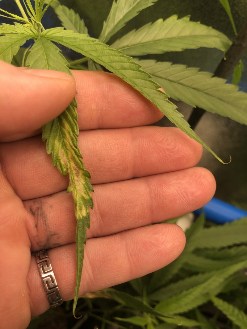 3546B68B-D9BE-4F28-8090-DB9B75B85968