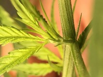 14B0ABF7-E9FB-4436-959D-4983E0C7A0B3