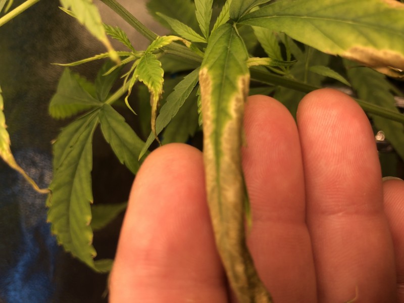 5EC53C90-D0FF-4362-AA77-6FDC8ECB2074