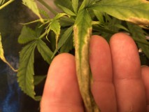 5EC53C90-D0FF-4362-AA77-6FDC8ECB2074