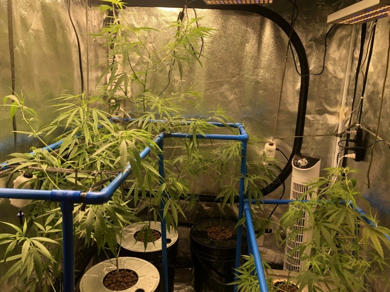 B05A793F-7378-4D81-B573-35E6985C5CD3