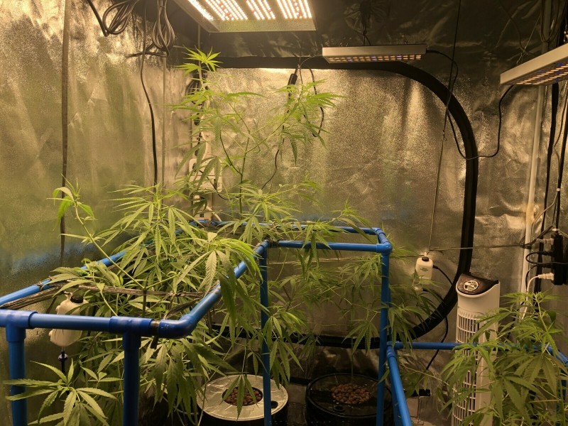 455F49B2-910B-4637-BA1E-BDF23067FD8D