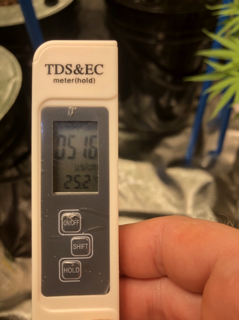 127E80EF-5C80-47A6-B2E5-A36BAA3F1719