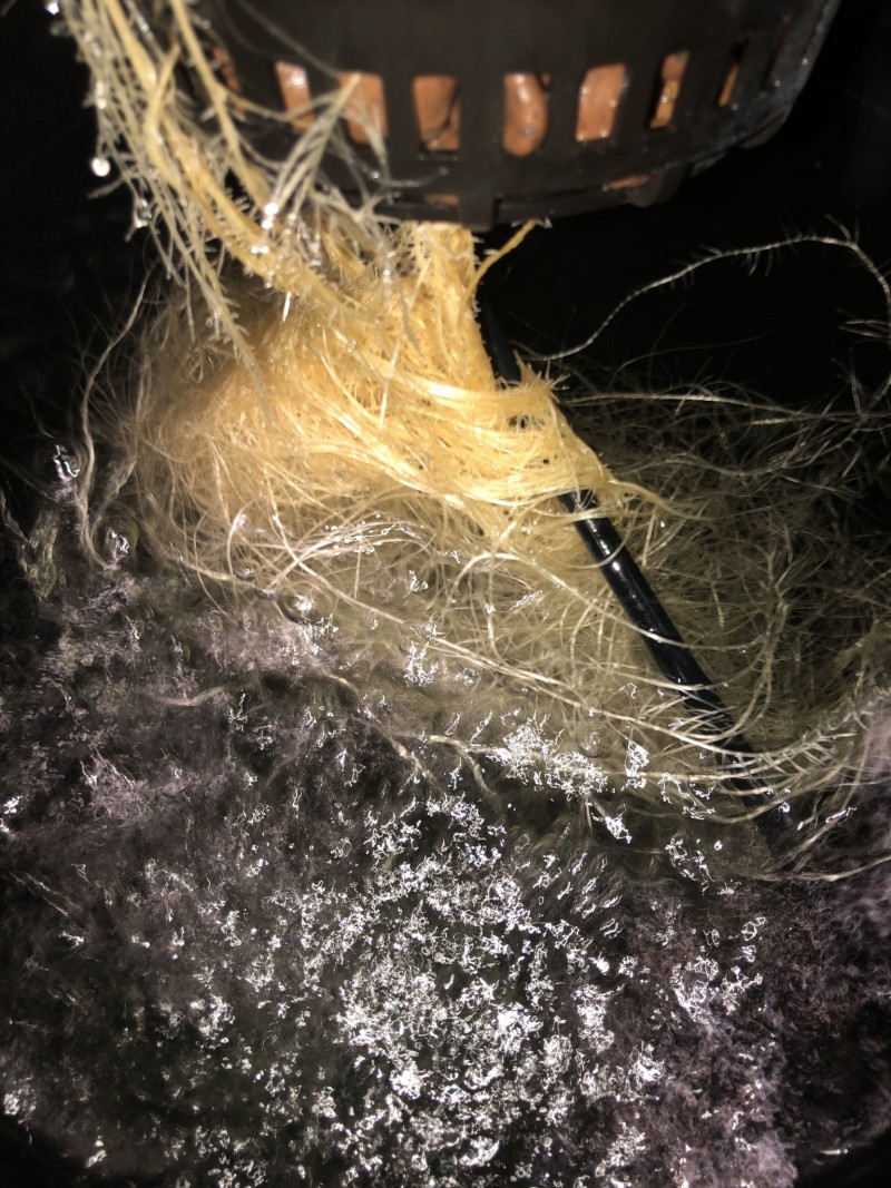 7CD94A23-919F-4DA6-9B33-5677D5190A1A