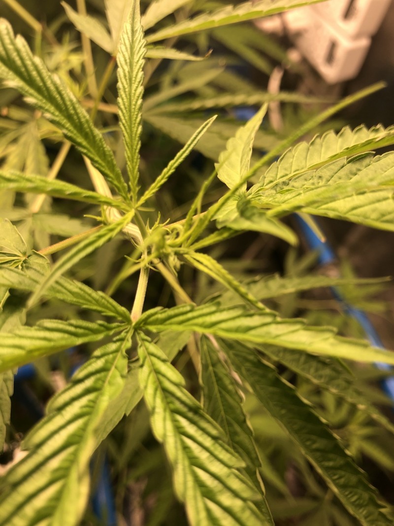 A20A12FB-57FE-4668-A6AB-BE759FE67653