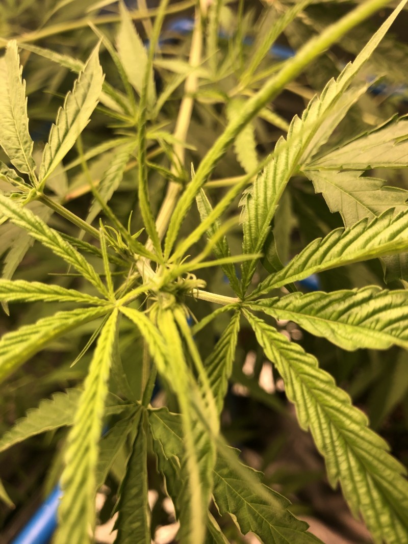 04B635F9-03EE-42EE-9ADB-963E44BEB87A