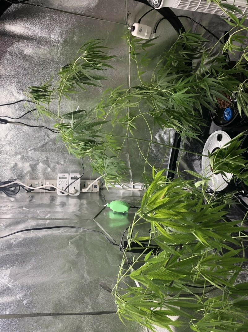 32EF6168-FDFF-4C29-9A55-5BDE95FE83D3