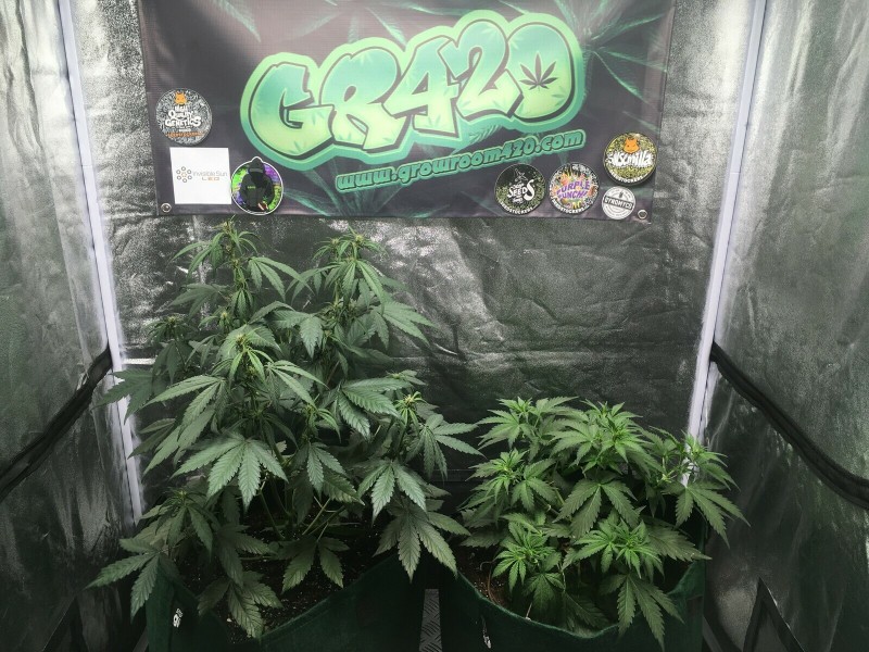 E7205874-0E2F-48DA-AB12-8D8187A4D855