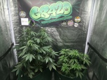 E7205874-0E2F-48DA-AB12-8D8187A4D855