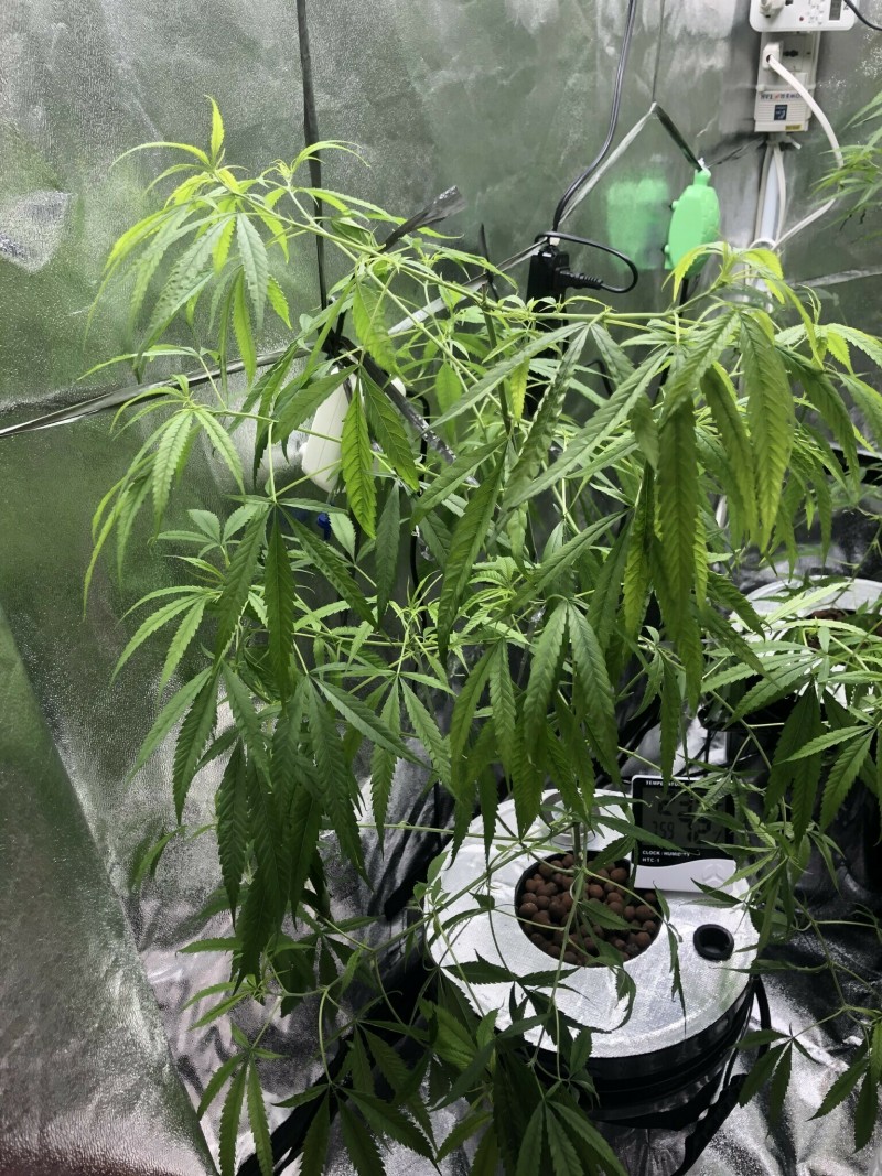 E0CBF89A-4D72-4529-B7B5-4635AFD3D3FC