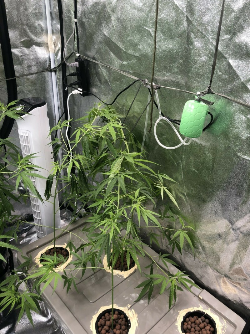 773B9D6F-89B4-4DC1-912F-962277D445E3