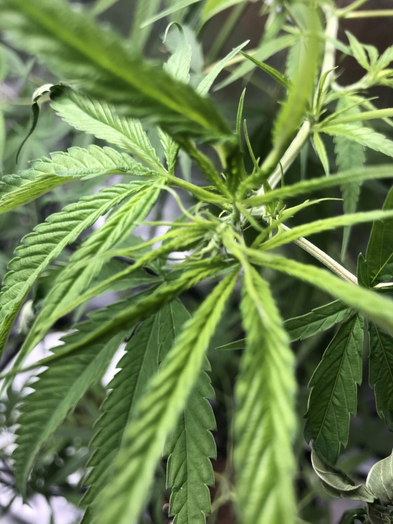 38E0ACFA-EBE9-4B6E-B638-43222741B1BD