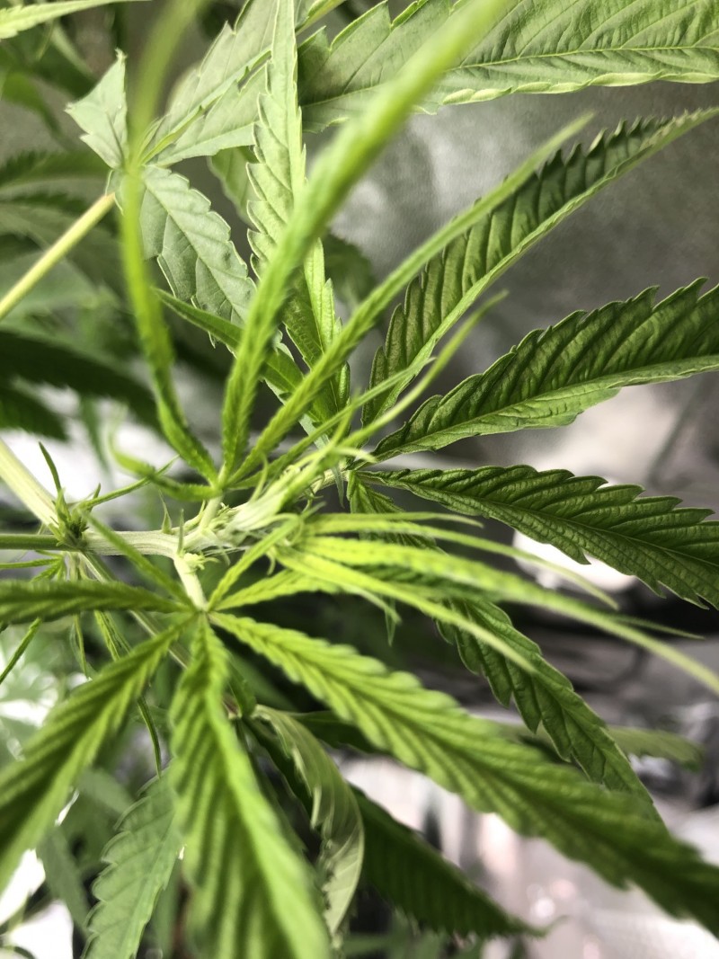 CBD9DE72-CDE7-4D9E-8743-DC3E178CFAAD