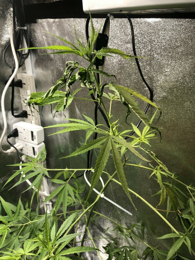 3D84F013-5113-4BD3-AD67-42AC2DF94C50