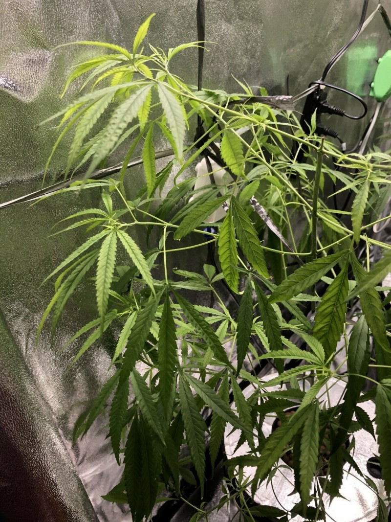 32B3A092-A55F-4871-8C23-8FB52894FE0B