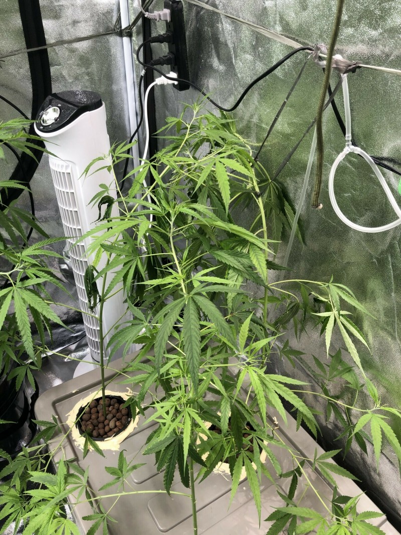 632479EA-9C07-425C-B85D-9806B8736524