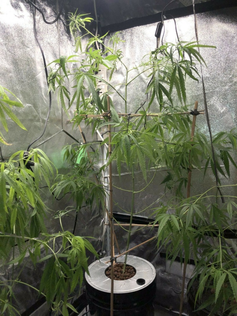 4FE1E920-44F0-470B-803A-CC2062DF132E