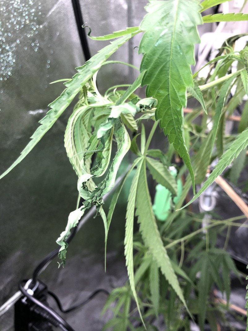 1F5C1477-4D55-4613-BBAB-5E5BF757DA18