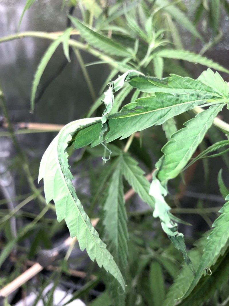 392F1178-76A2-4892-AF5D-C3D48BF0DB60