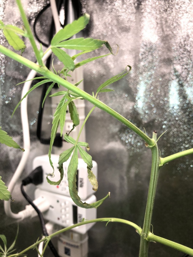 C7FC794D-6F80-4875-BBD9-9B81AC6EB88A