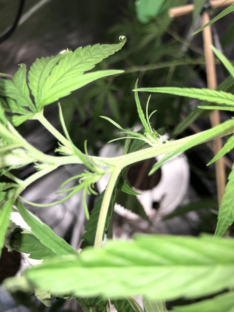 A8875391-DE63-48AB-9832-8A72D9DB856F