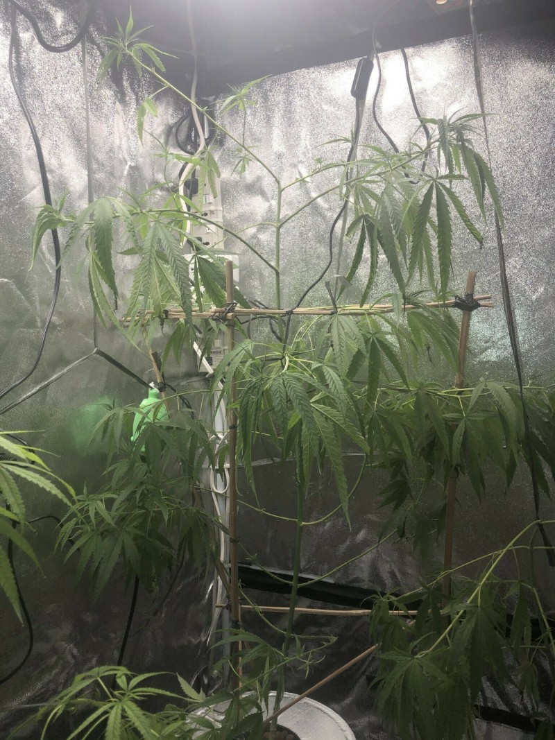 DBBB8F69-01BF-4AF0-817C-2069188B033F