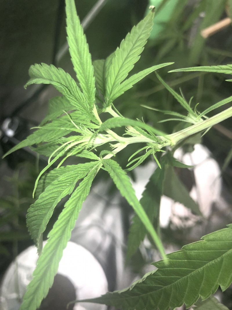 895ED586-6B51-4227-8CF2-9526FC93F2C4