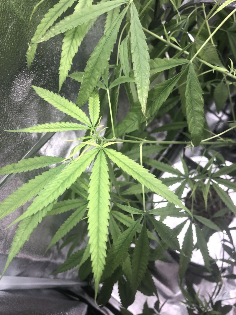 7BDBBAA4-365C-4EBF-9DCD-2AF84F4DBA8F