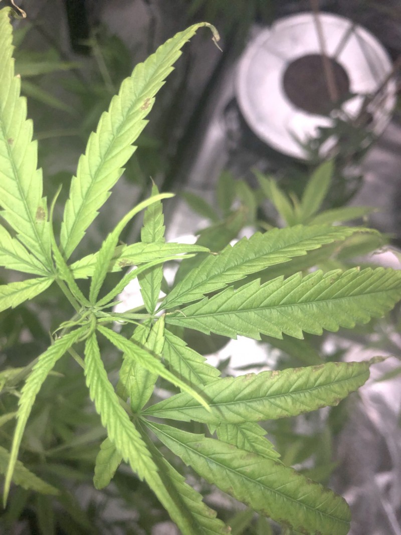 E0A60182-879E-4FF5-A7C3-B952DCDF99F3