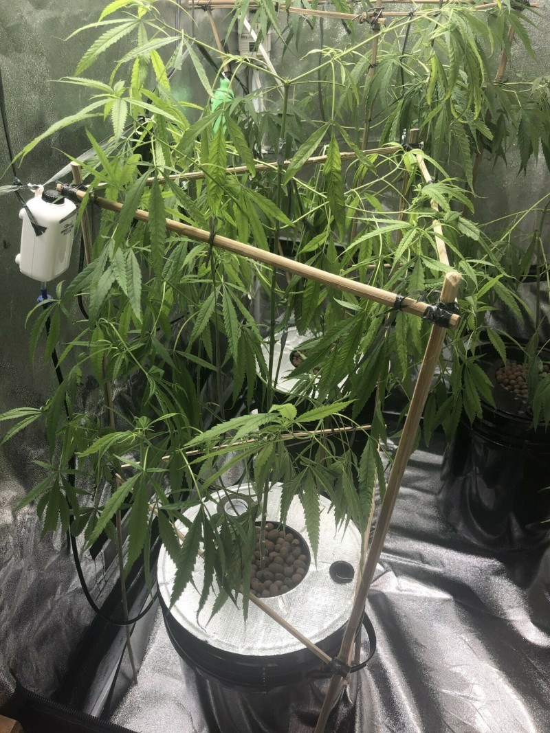 035D30DF-2803-418C-9E72-370FA3AFB1E1