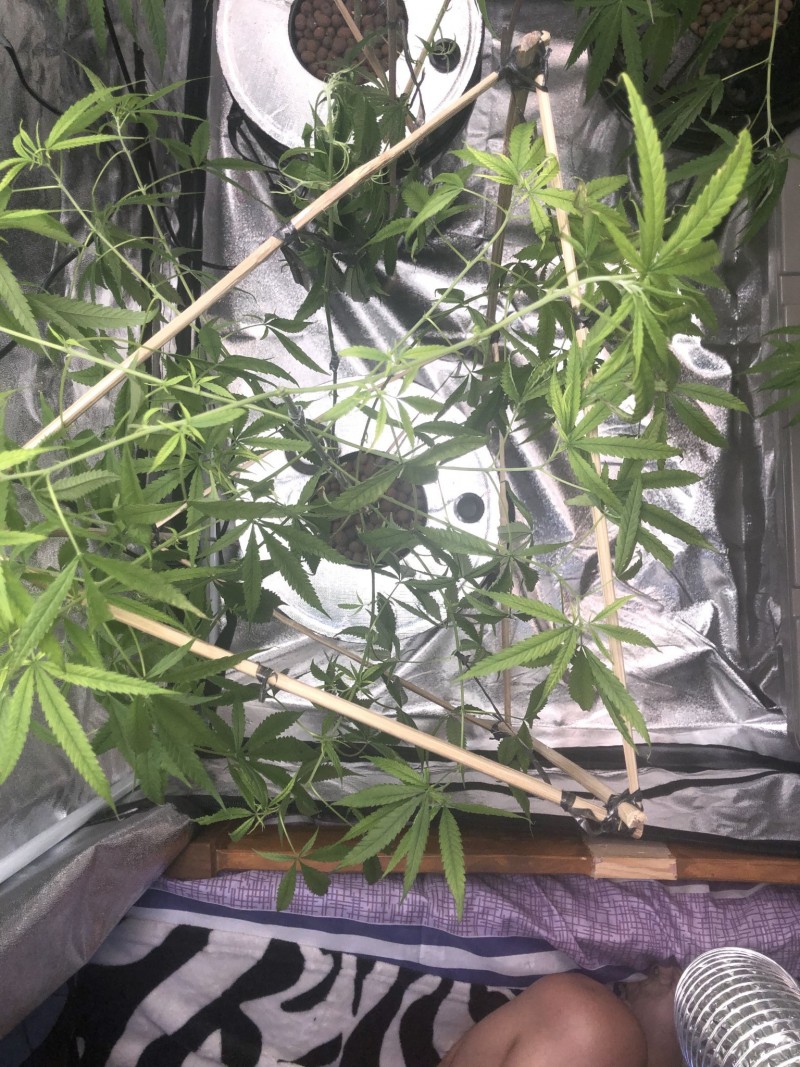 E68091FD-17C7-4021-99FB-3933FE6D263D