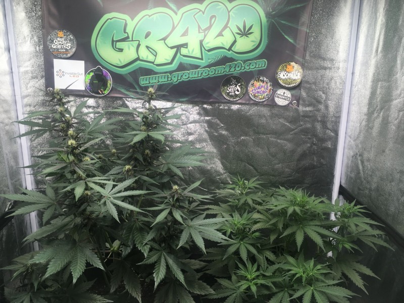 DF00D93F-974D-4F73-83A8-D386E8A7848F