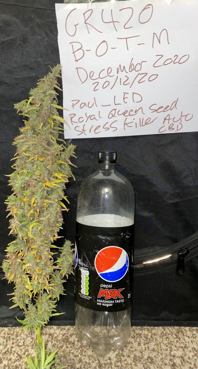 BA84F39F-FE28-4BB5-81CD-372B398253E7