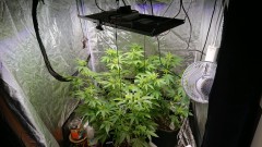 obscura1608565209064