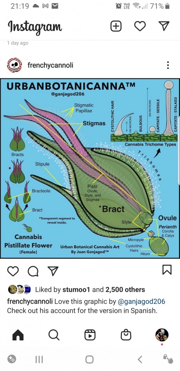 Screenshot_20201222-211917_Instagram