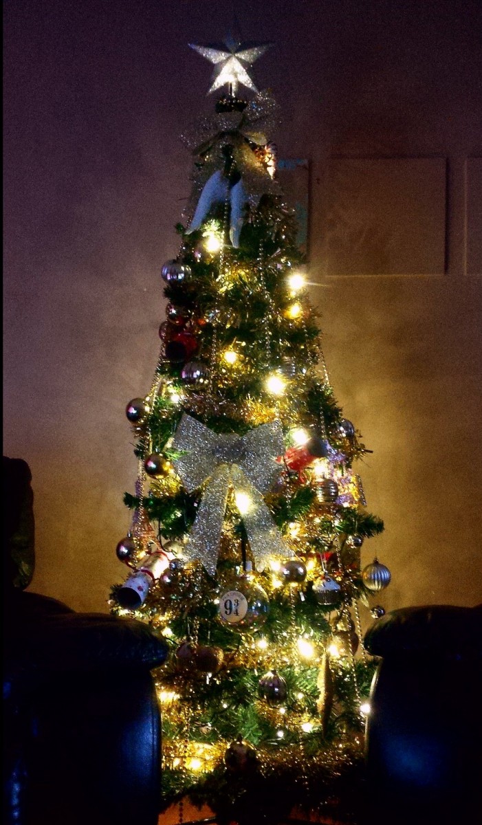 IMG_20201223_132227_edit_edit