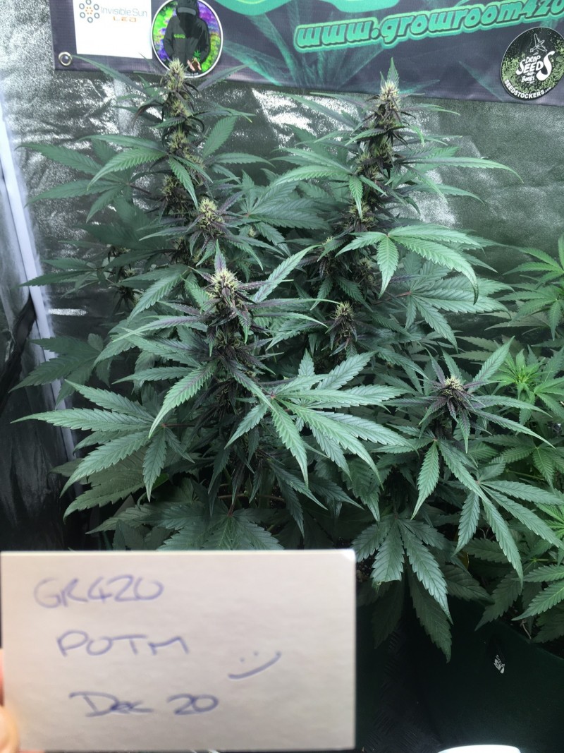 F3A8F2CB-DA97-48D0-B0C3-C7BFAC6F2564