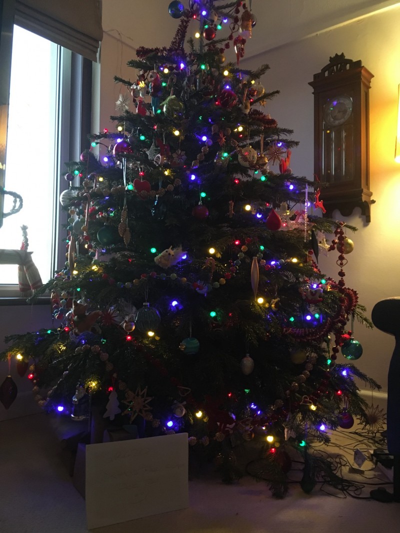 BC0E532B-AE65-4A83-858F-3598ED424869