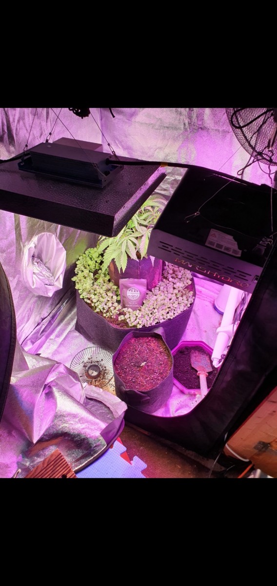 Screenshot_20201224-174754_Gallery