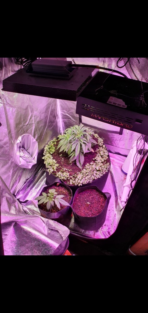 Screenshot_20201224-174736_Gallery