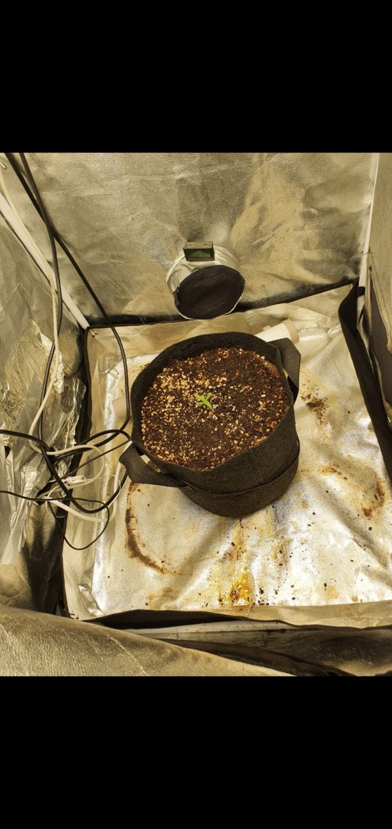 Screenshot_20201224-180029_Gallery