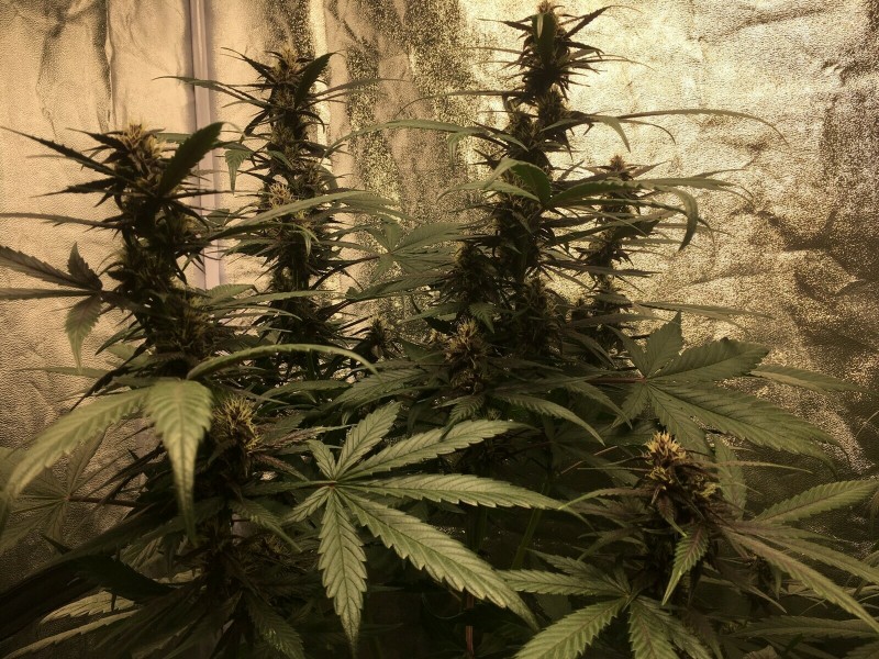 14E13756-7055-444B-B494-97886BA661B0