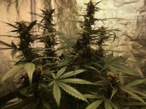 14E13756-7055-444B-B494-97886BA661B0