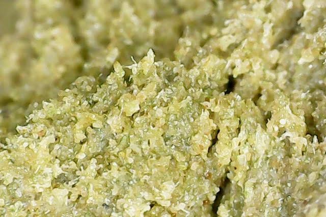 1E042DBD-97CF-4E8D-822B-496E25784C11