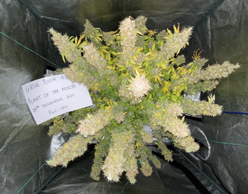 812498DE-6942-4C89-988E-AB17DE128C48