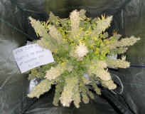 812498DE-6942-4C89-988E-AB17DE128C48