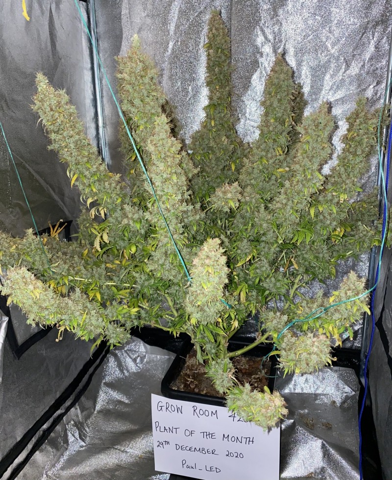 22AE1784-CA29-4D83-8AC9-F7B1F2AF1B15