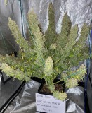 22AE1784-CA29-4D83-8AC9-F7B1F2AF1B15