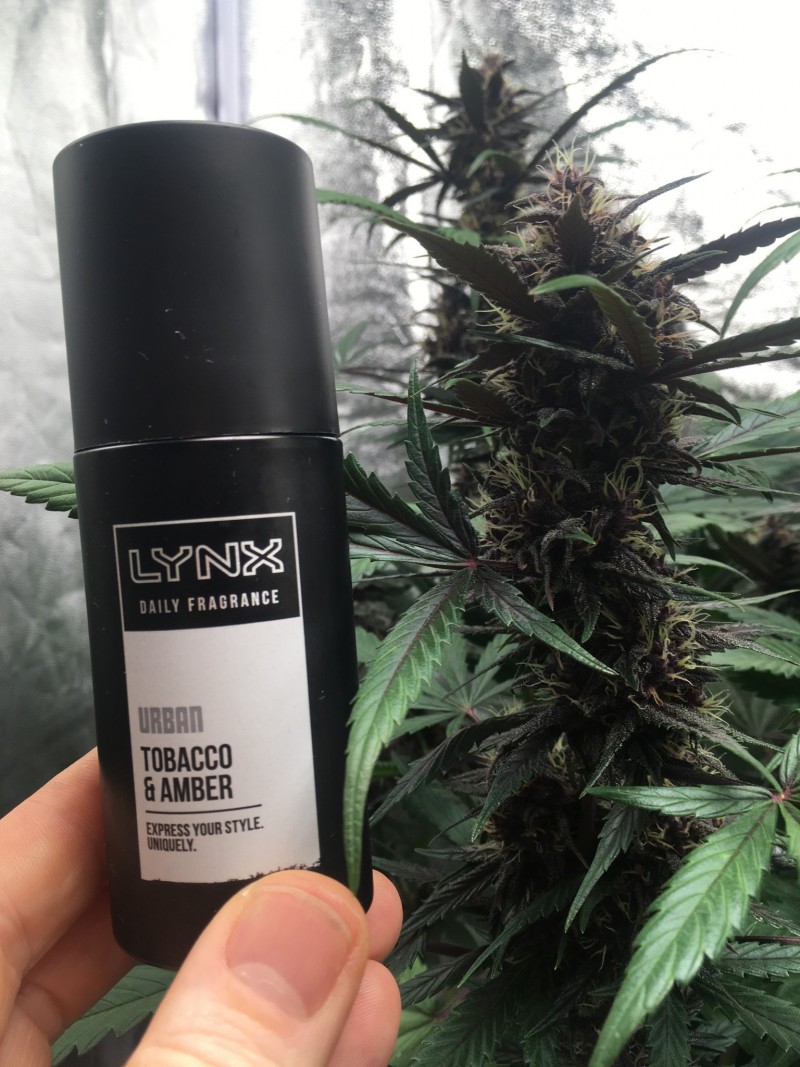 E640E34C-5BFC-431A-8AA5-A0261E7D5802